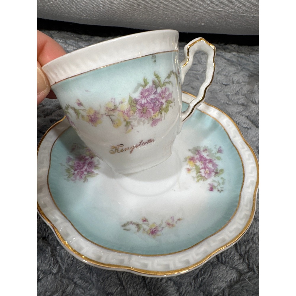 Z S & C R Bavaria Kingston‎ Floral Tea Cup and Saucer Set Aqua Gold Trim Antique